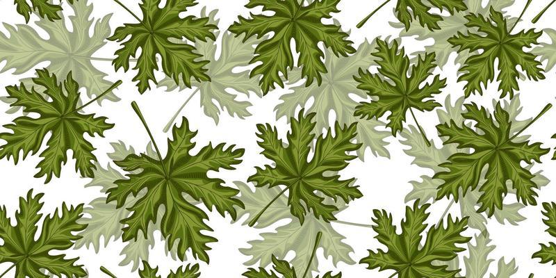 Leaf seamless pattern on white background. Retro tropical plants in engraving style.