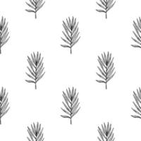 Palm leaves seamless pattern. Tropical branch in engraving style. vector