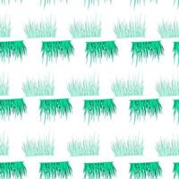 Grass seamless pattern. Background of lawn. vector