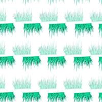 Grass seamless pattern. Background of lawn. vector