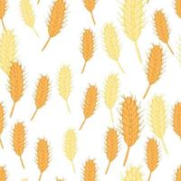 Wheat seamless pattern. Cereal crop sketch. vector