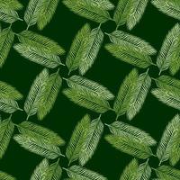 Palm leaves seamless pattern. Tropical branch in engraving style. vector