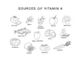 Sources of vitamin A set of hand drawn black and white icons isolated on white background. Proper nutrition vector illustration in line style