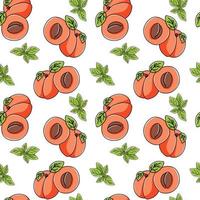 Apricots and greenery seamless background in hand drawn style, sweet fruits endless vector doodle texture
