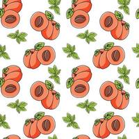 Apricots and greenery seamless background in hand drawn style, sweet fruits endless vector doodle texture