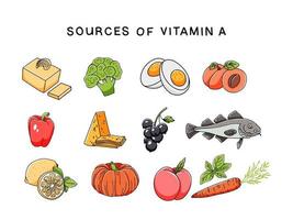 fuentes de vitamina a conjunto de iconos dibujados a mano aislados sobre fondo blanco. Ilustración de vector de nutrición adecuada