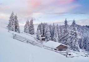 Cozy wooden hut high in the snowy mountains. Great pine trees on the background. Abandoned kolyba shepherd. Cloudy day. Carpathian mountains, it is snowing. Ukraine, Europe photo