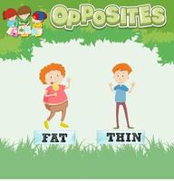 Opposite words for fat and thin vector