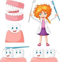 Set of all types of teeth on white background vector