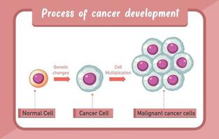 Infografía del proceso de desarrollo del cáncer.