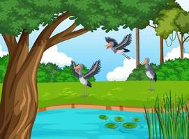 escena con pájaros shoebill junto al estanque vector