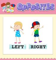 Opposite words for left and right vector