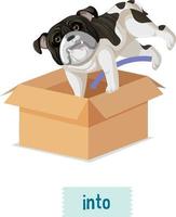 Preposition of place with cartoon dog and a box vector