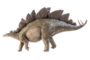dinosaurio estegosaurio sobre fondo blanco foto