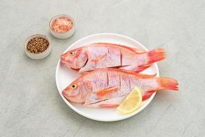 El pescado crudo de tilapia roja es un tipo de consumo de pescado de agua dulce, servido en un plato blanco con especias y limón. foco seleccionado foto