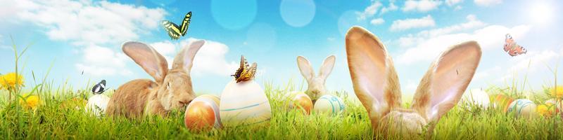 Funny Easter bunny. Happy Easter holiday concept. photo