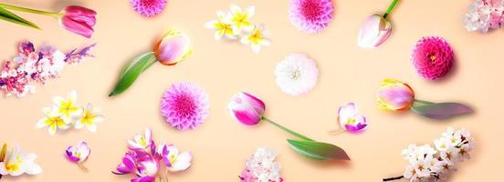 Flowers and herbs. Spring creative floral composition. photo