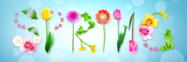 Flowers and herbs with word spring. Creative floral composition. photo