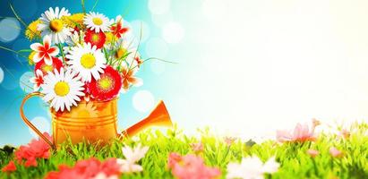 Colorful wild flower bouquet in a watering can. Concept of spring and gardening. photo