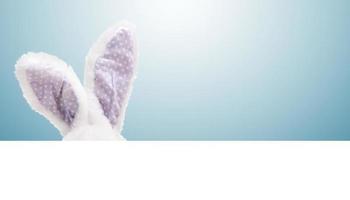 Funny Easter bunny. Happy Easter holiday concept. photo