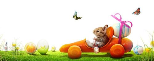 Funny Easter bunny. Happy Easter holiday concept. photo