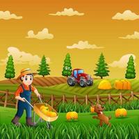 A farmers harvesting pumpkins in the farm vector