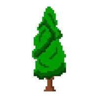 High lush pixel thuja. An evergreen tree with decorative elongated crown. Decoration of garden plot and botanical vector parks.