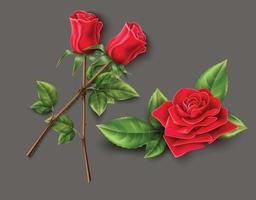 Red rose flower vector on gray background