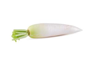 Daikon radishes isolated on white background photo