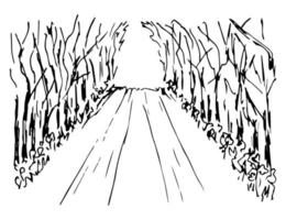 Hand-drawn simple vector illustration in black outline. Empty road, path, walk in the park, perspective, alley of trees, forest wilds, tunnel, light at the end. Sketch in ink.