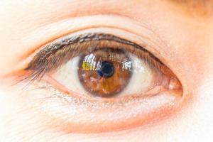 Close up picture of brown eyes from a young woman photo