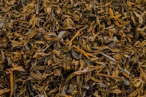 Dried katcha leaves for medicinal or cooking photo