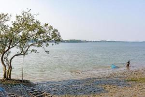 Satkhira, Bangladesh - 29 January 2017 - Poor Women Fishing with Hand Net, on the Bank of a River photo