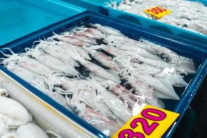 Fresh squid in trays for sale in the fish market photo