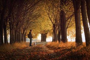 mujer y perro en camino y puesta de sol de otoño foto