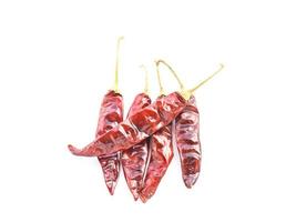 Dried chili peppers on white background photo