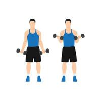 Man doing standing dumbbell bicep curls. Flat vector illustration isolated on different layers. Workout character