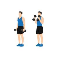 Man doing dumbbell bicep hammer curls. Flat vector illustration isolated on different layer. Workout character