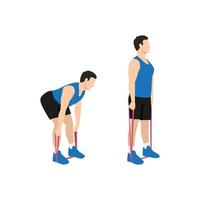 Man doing Resistance band Deadlift exercise. Flat vector illustration isolated on white background