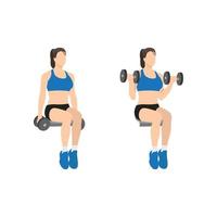 Woman doing Seated Dumbbell bicep curls exercise. Flat vector illustration isolated on white background