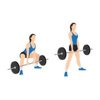 Woman doing Sumo Barbell deadlifts exercise. Flat vector illustration isolated on white background