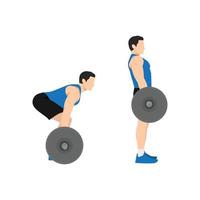 Man doing Barbell deadlifts exercise. Flat vector illustration isolated on white background