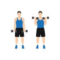 Man doing standing dumbbell bicep curls. Flat vector illustration isolated on different layers. Workout character