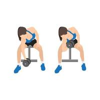 Woman doing Seated Dumbbell concentration curls exercise. Flat vector illustration isolated on white background