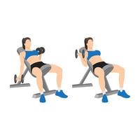 Woman doing Seated alternating incline bench dumbbell curls exercise. Flat vector illustration isolated on white background