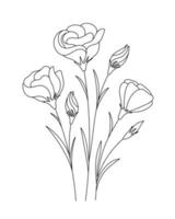 Eustoma flower drawings. Black and white with line art. Hand Drawn Botanical Illustration vector