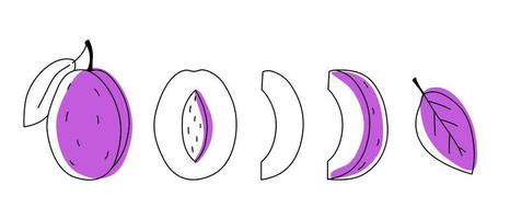 Set doodle prunes plum outline with spots. Whole, pieces, and leaves vector