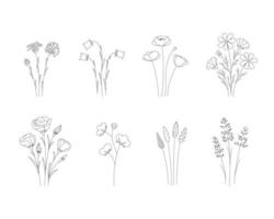 Set doodle wildflowers. Black and white with line art