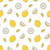 Seamless pattern lemon outline with spots. Whole, pieces, and leaves. vector