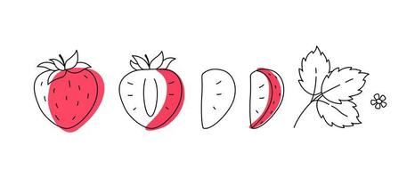 Strawberry outline doodle with spots. Whole, pieces, seed and leaves vector